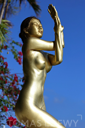 Tomas Loewy Photography - Gold Statue Hahae 007