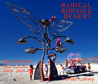 Radical Burning Desert - Burning Man 2004-2010  Book