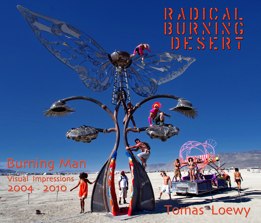 00 Radical Burning Desert - Tomas Loewy - cover