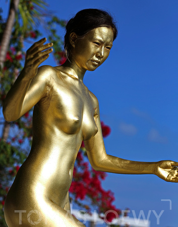 Tomas Loewy Photography - Gold Statue Hahae 005